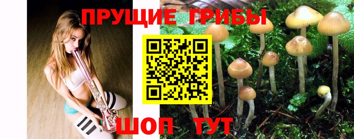 Галлюциногенные грибы ЛСД Минусинск