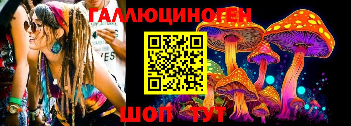 Галлюциногенные грибы мицелий  Вход с VPN  Минусинск  Галлюциногенные грибы Psilocybe 